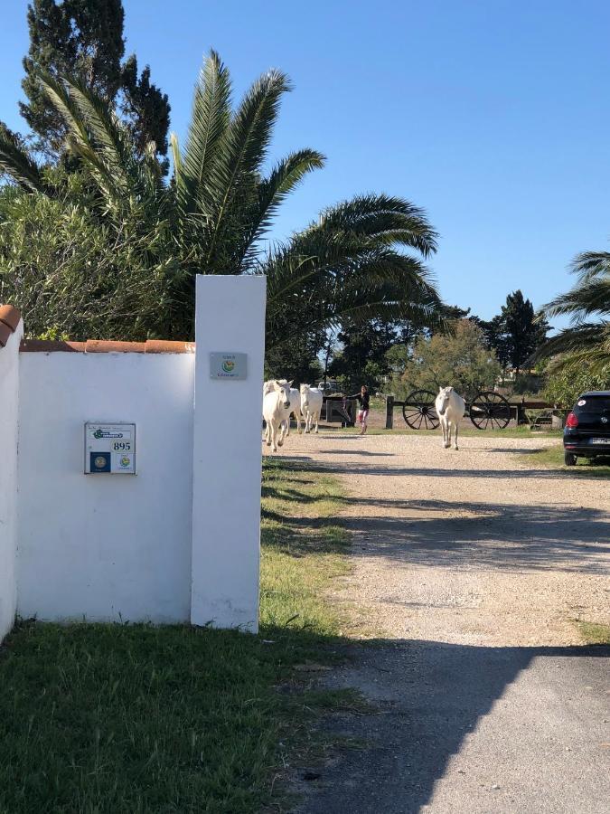 Gite Armieux Saintes-Maries-de-la-Mer Eksteriør bilde